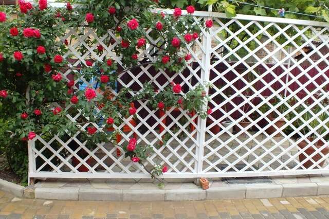 Гостиница Алмаз Ейск-134