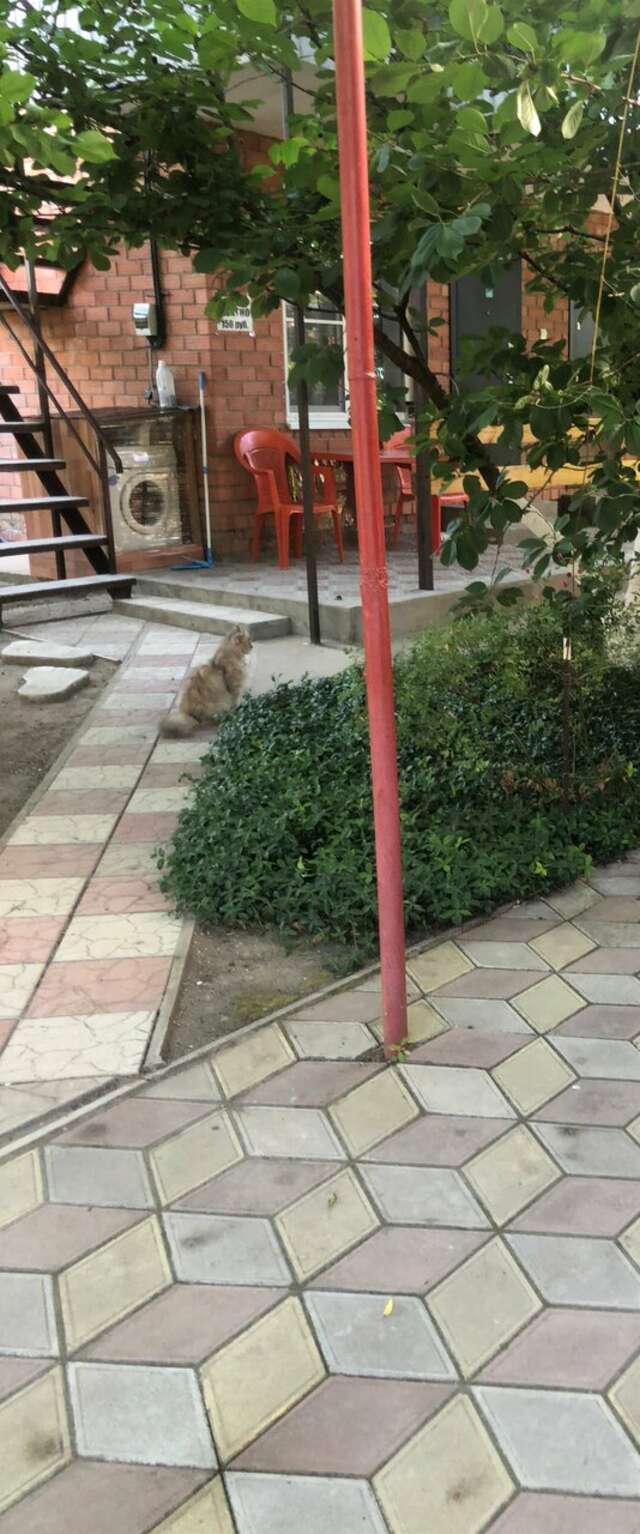 Гостиница Алмаз Ейск-113